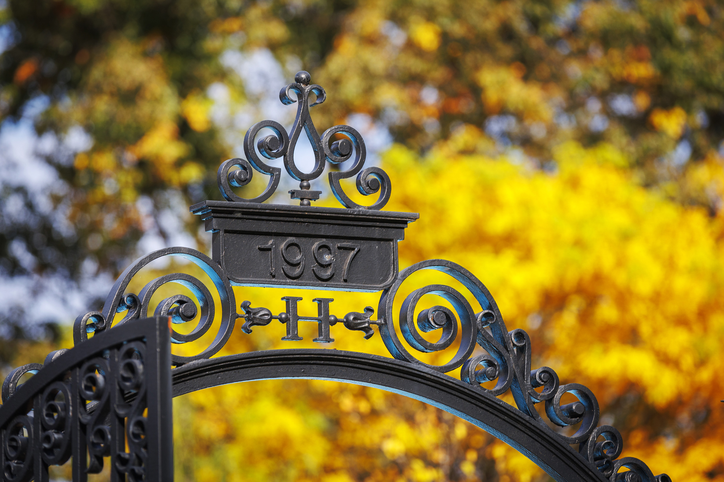 Autumn foliage beyond the iron gates of Harvard Yard